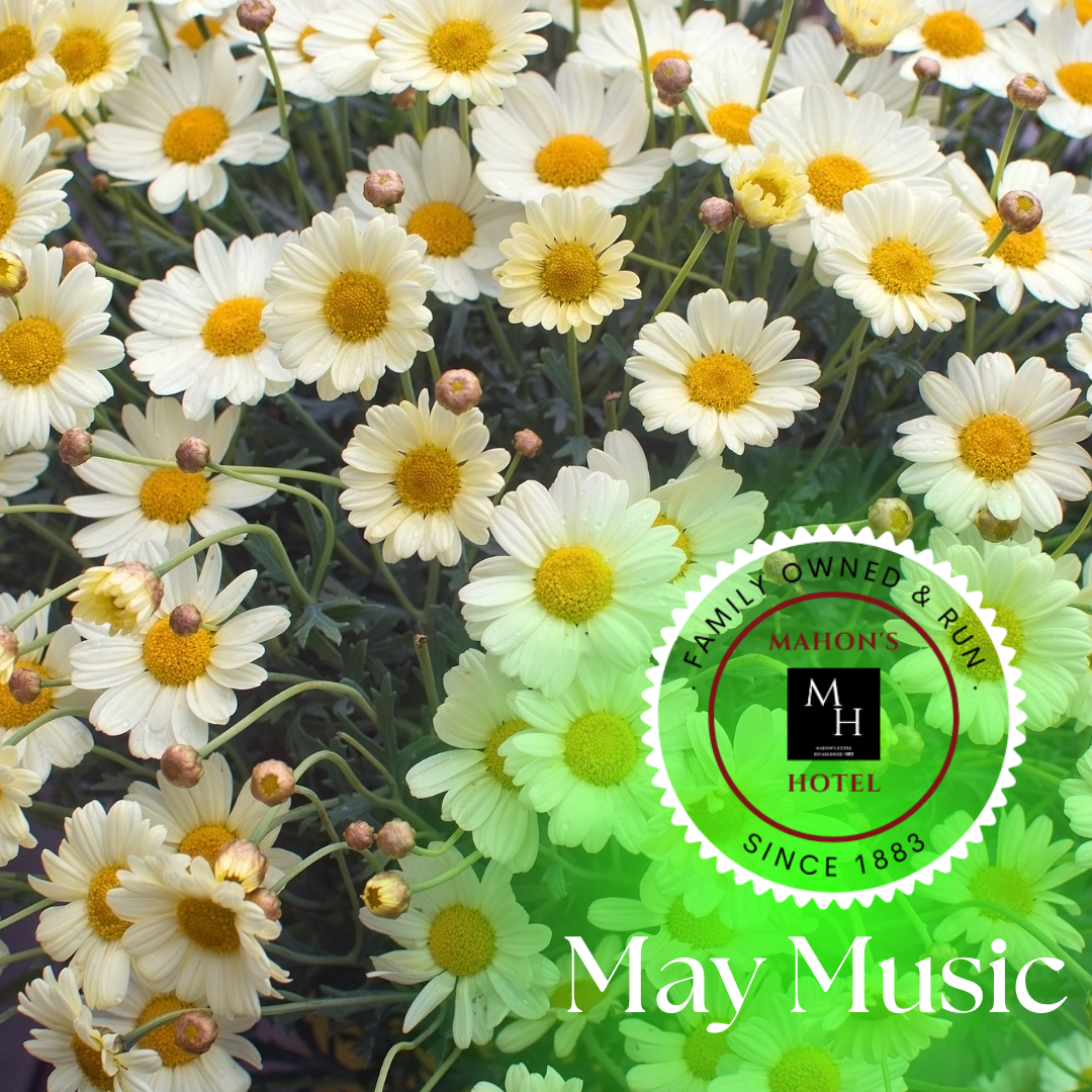 May Live Music
